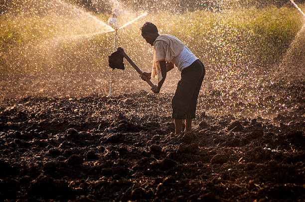 Farming